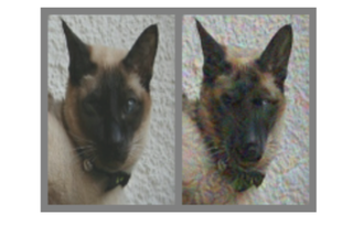 Left: Unmodified image of a cat. Right: A modified, “adversarial” image made to look like a dog.